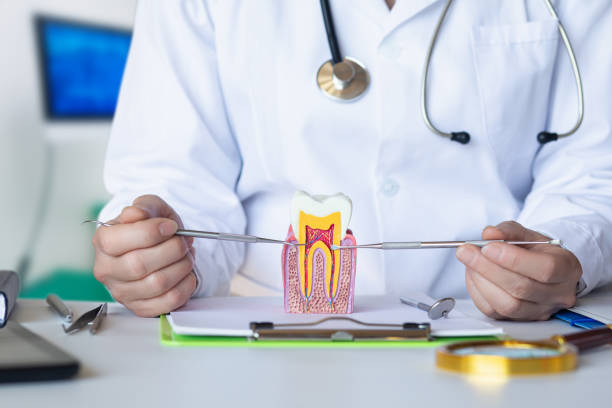 Best Weekend Emergency Dentist in Maywood, CA